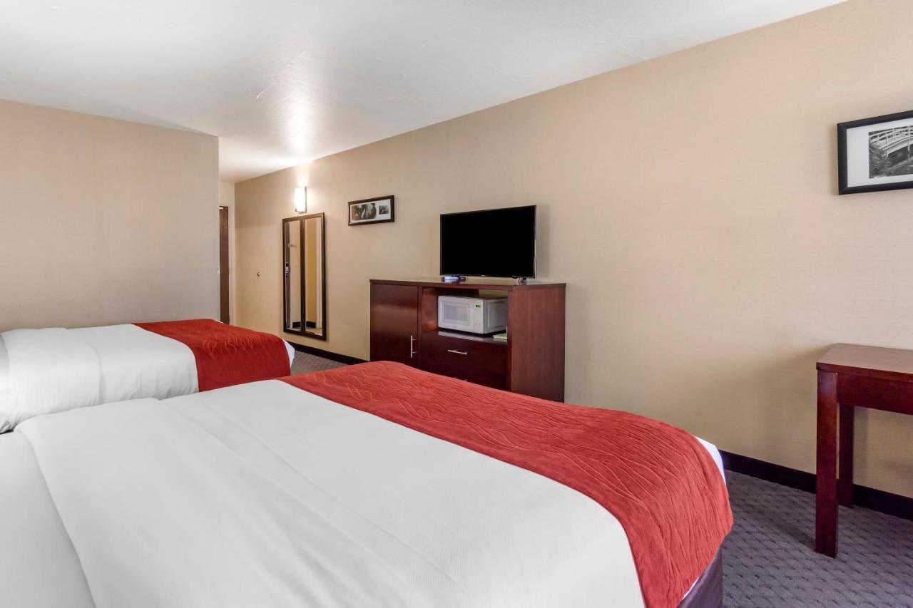 Comfort Inn Kent - Seattle Экстерьер фото
