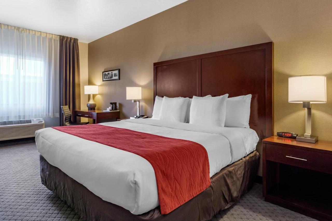 Comfort Inn Kent - Seattle Экстерьер фото